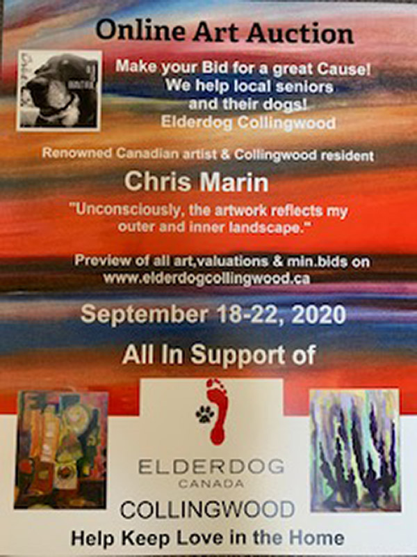 elderdog auction chris marin